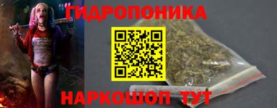 хмурый Гусев