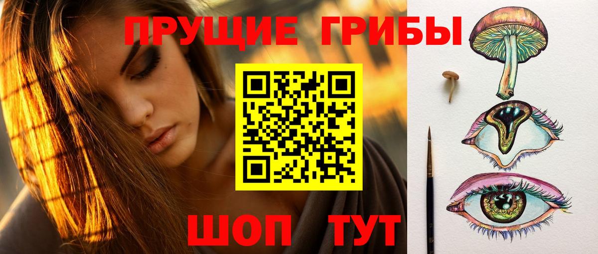 Галлюциногенные грибы Cubensis Мелеуз